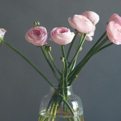 The Simple Joy of a Single Stem