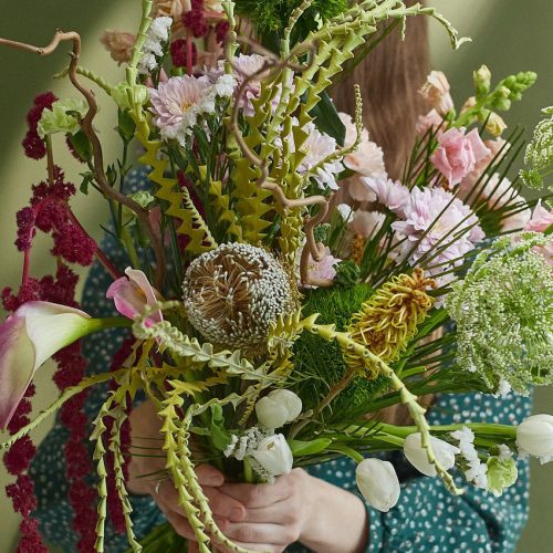 Blooms of Beauty: A Visual Journey