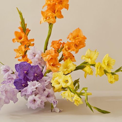 Gardener’s Guide to Vibrant Blooms